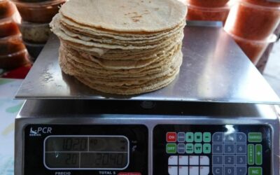 Profeco: monitoreo de precios de kilo de tortilla se realiza para informar y orientar a la población