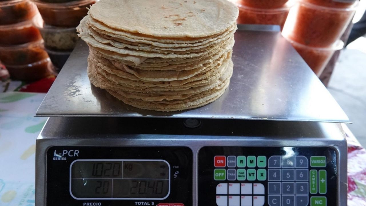 Profeco: monitoreo de precios de kilo de tortilla se realiza para informar y orientar a la población