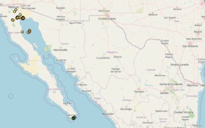 Registran CATORCE sismos en un solo día en San Felipe, Baja California